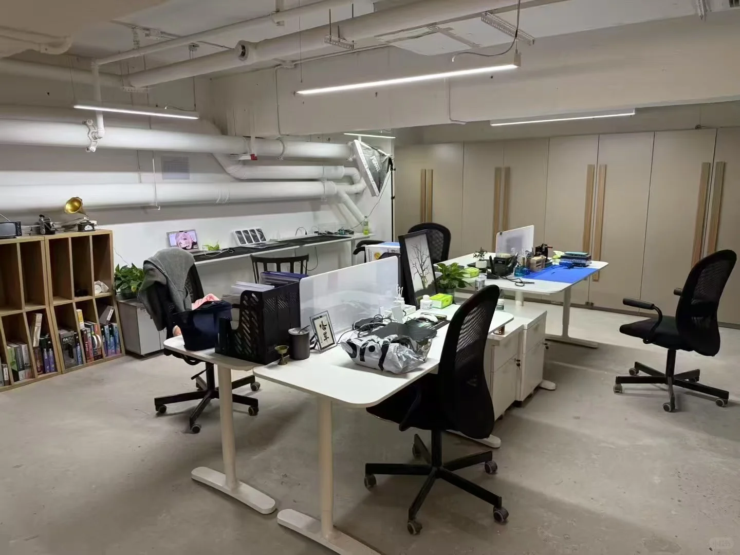 招人啦❗️❗️