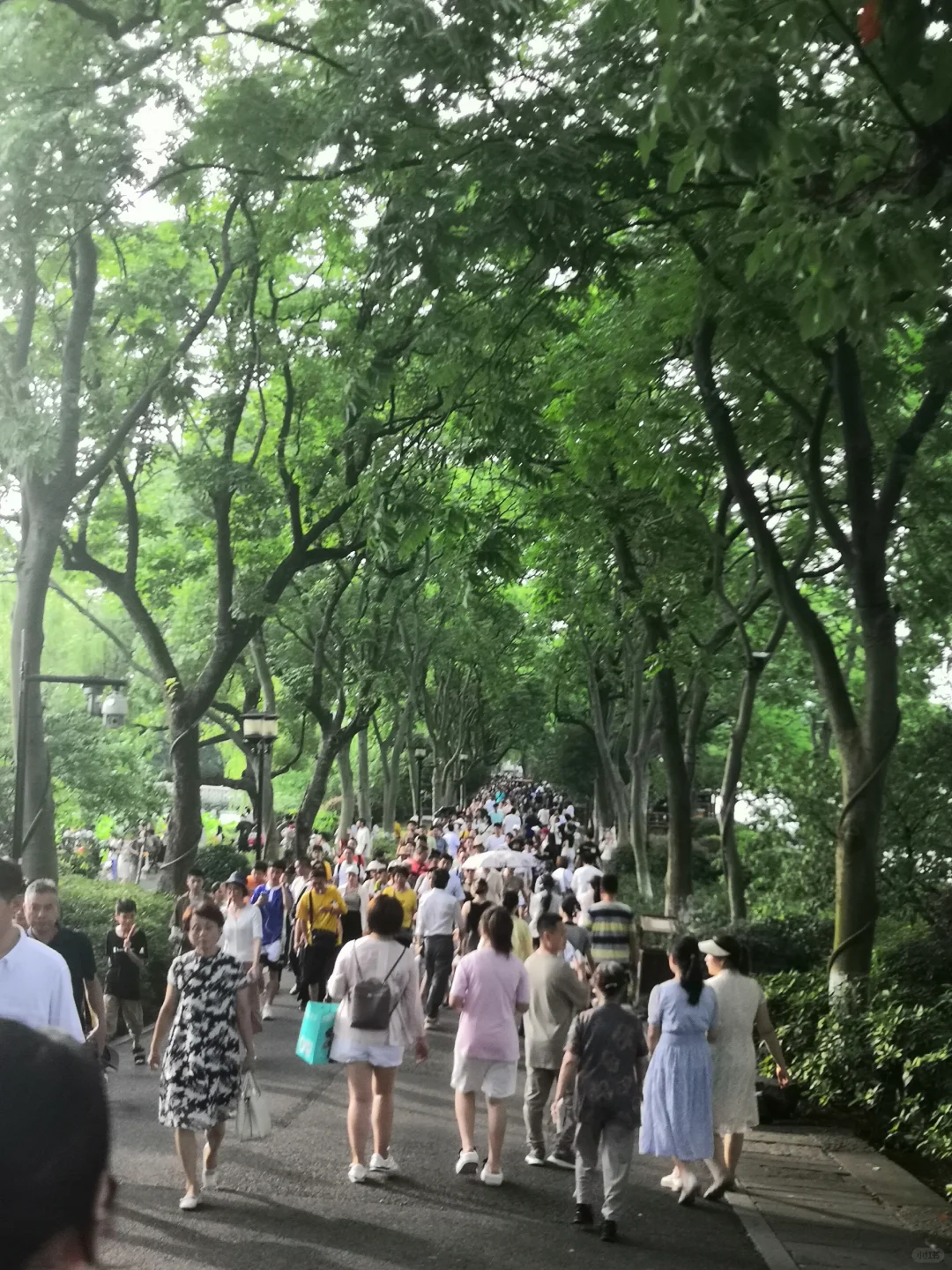 教师全员竞聘上岗为啥突然上热搜了？？？？