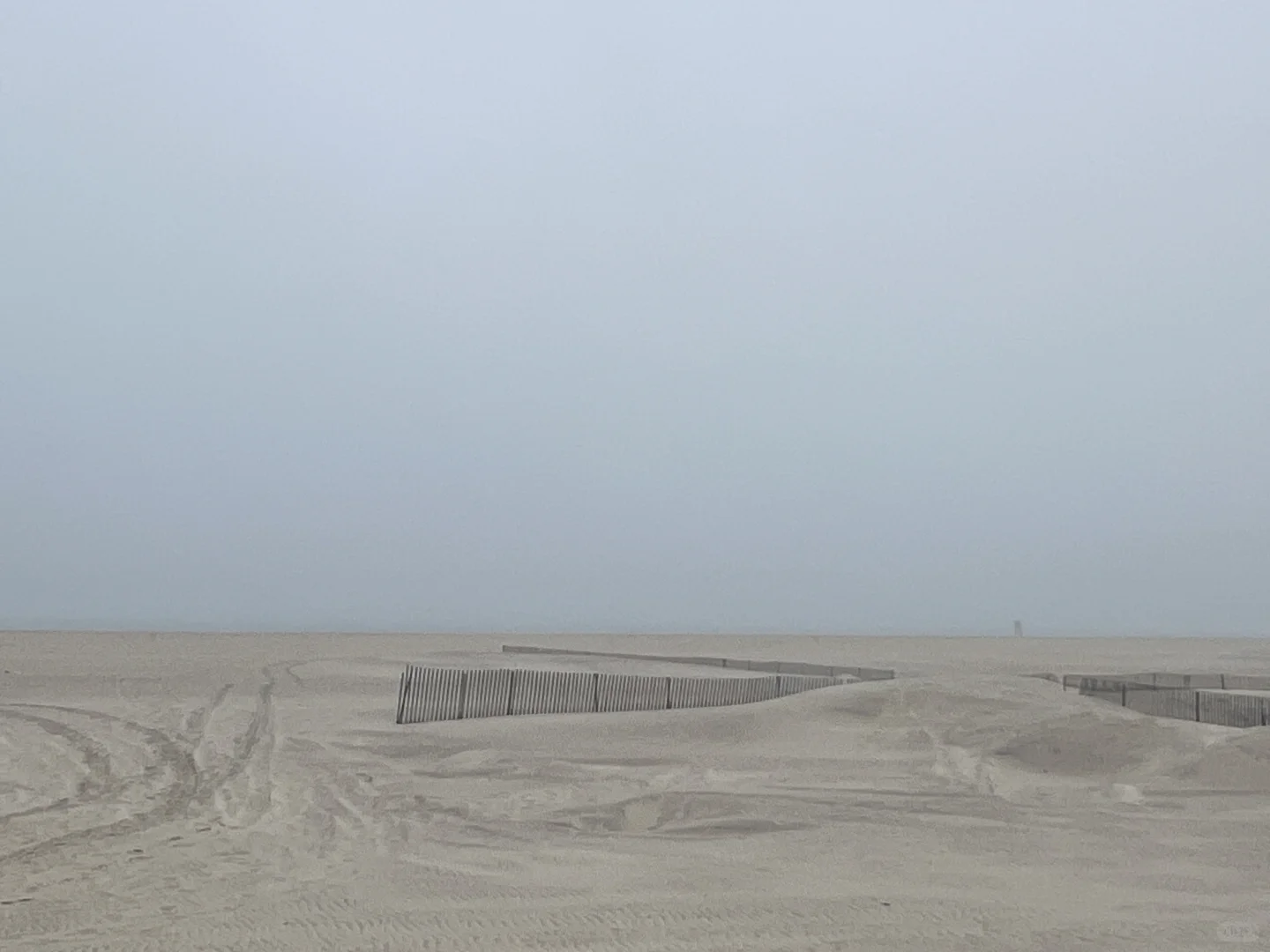 留美还是回国，that’s a question