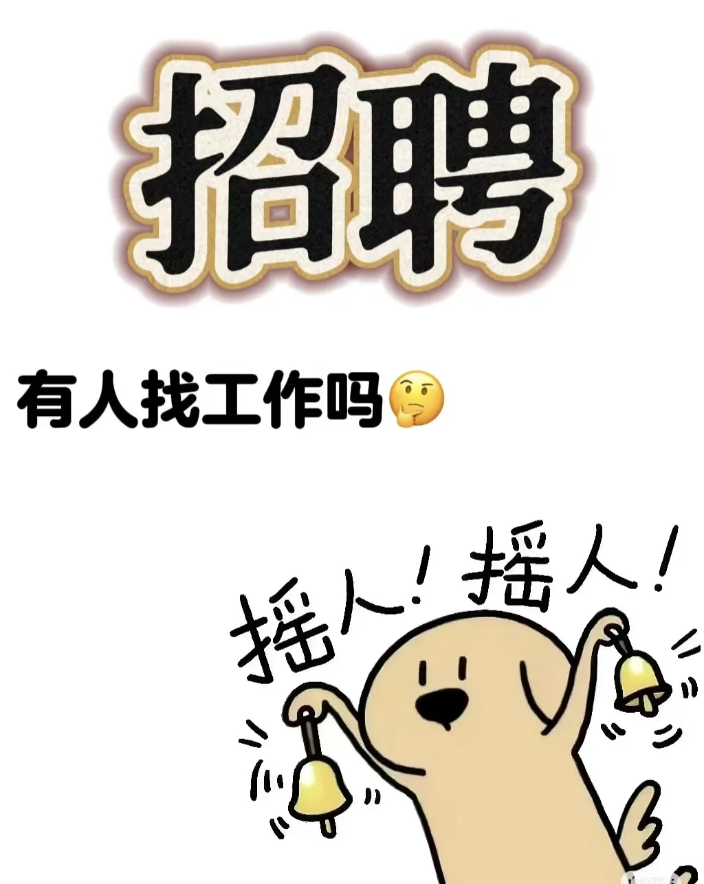 深圳西乡宠物店招人，有人找工作吗！