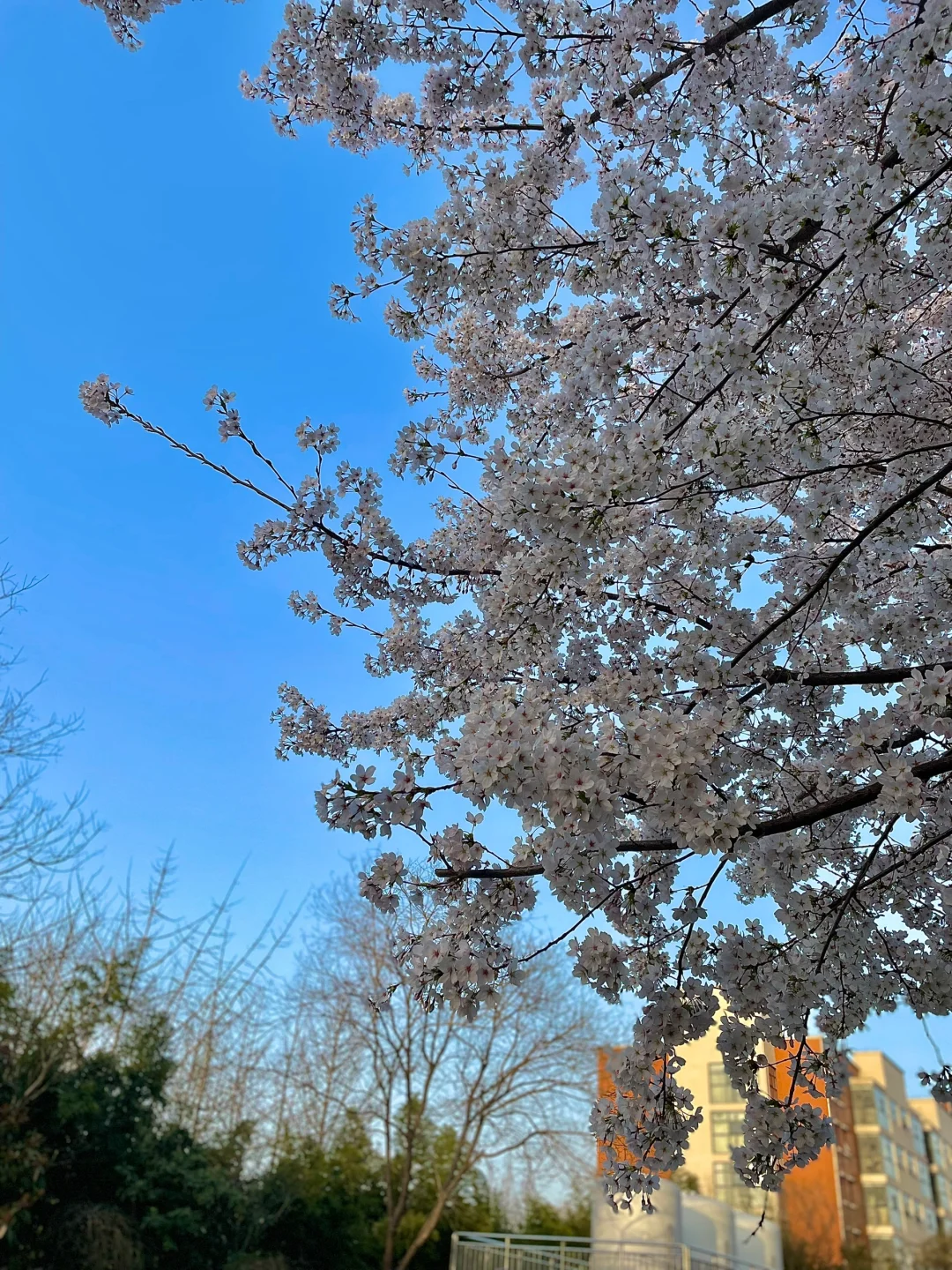 医院行政岗，太幸福了❗️3-5🈷️黄金准备期❗️