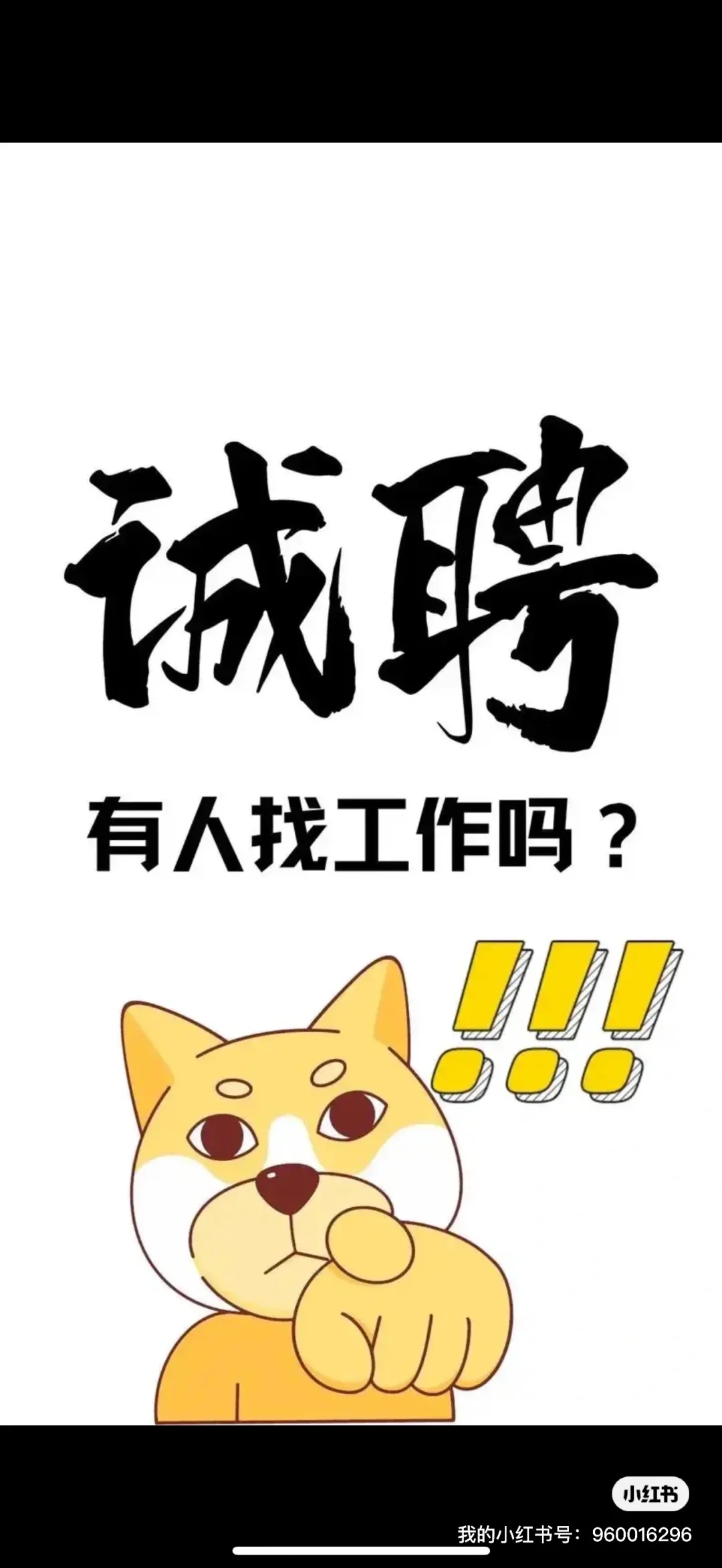 新市区找工作的小伙伴看过来!!!