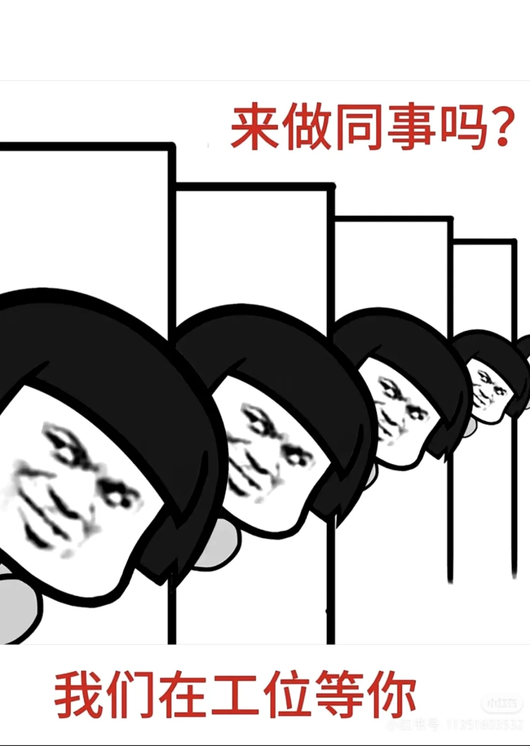 在找工作的宝子快来呀！！！