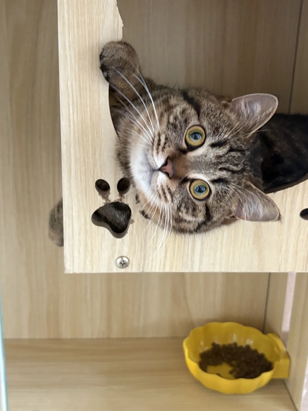 重生的第一天我开始了干上人力资源！