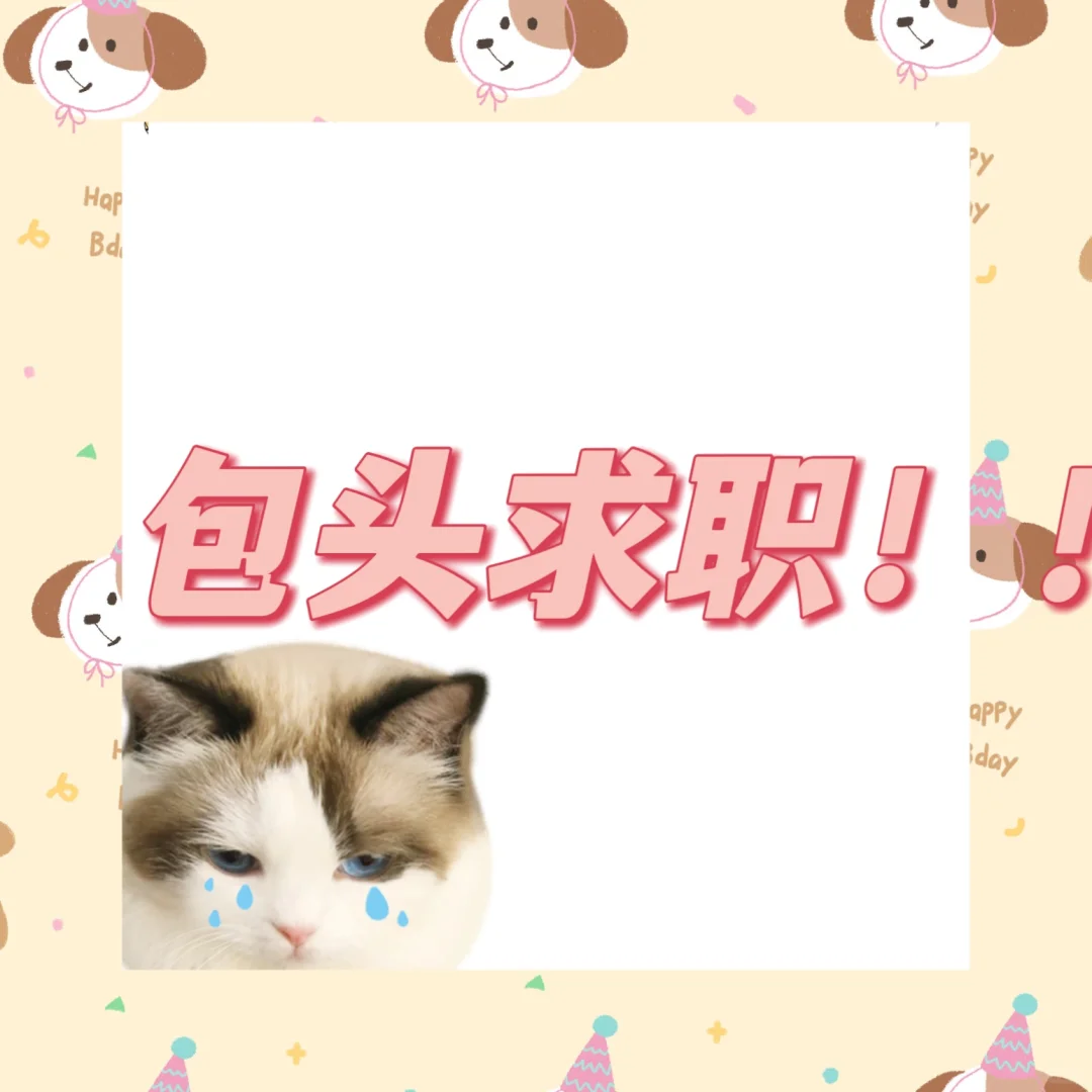 在包头可以找到什么工作啊😦，急！