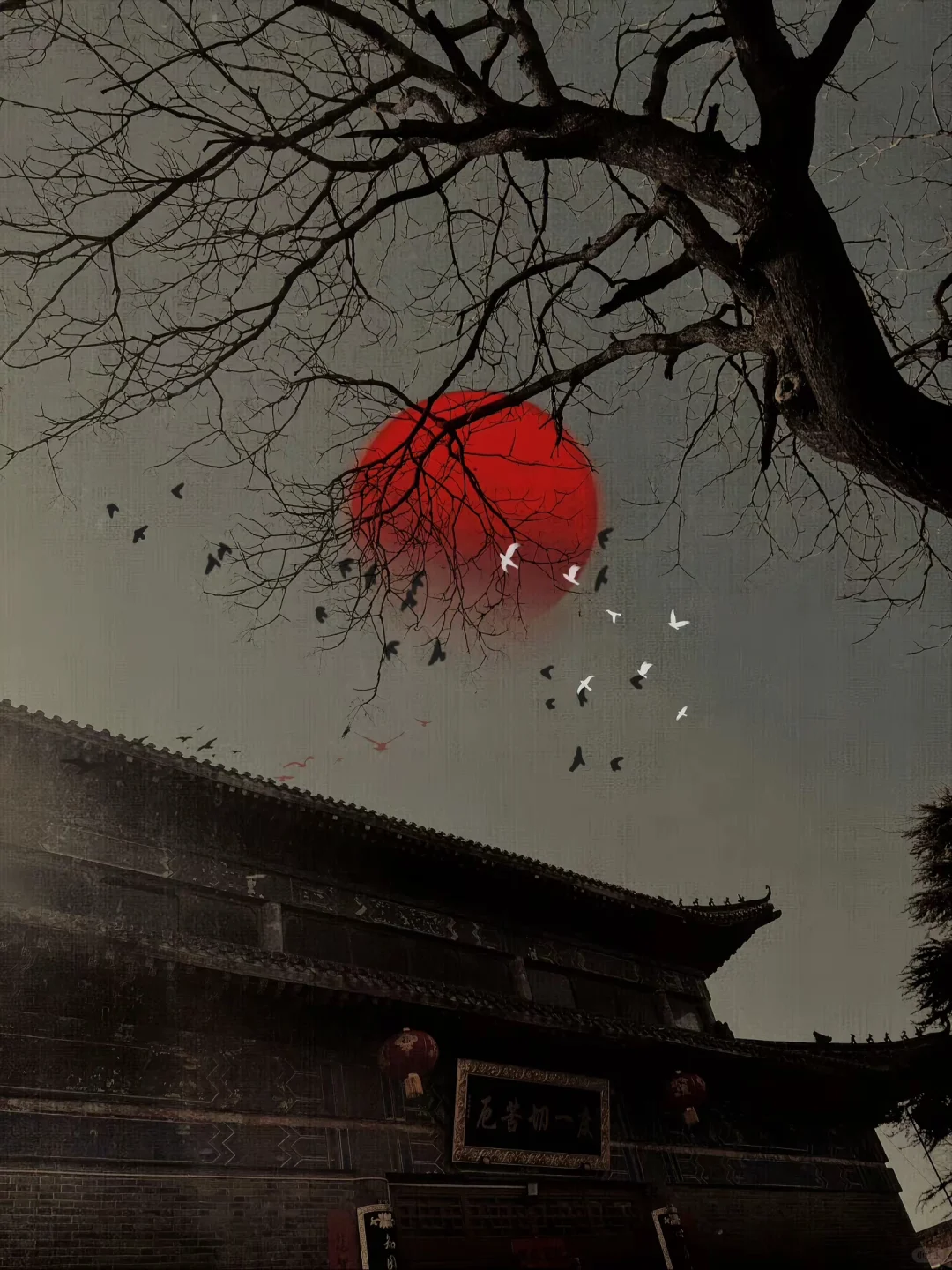 新都区‮办公‬小‮招学‬聘小学英语