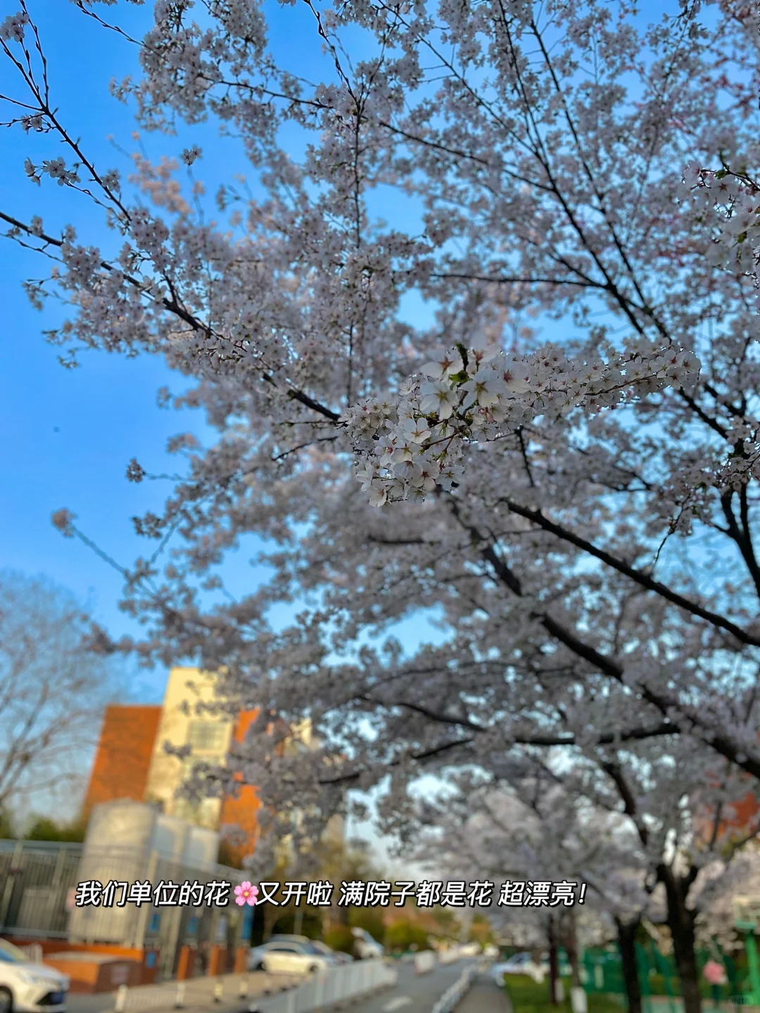医院行政岗，太幸福了❗️3-5🈷️黄金准备期❗️