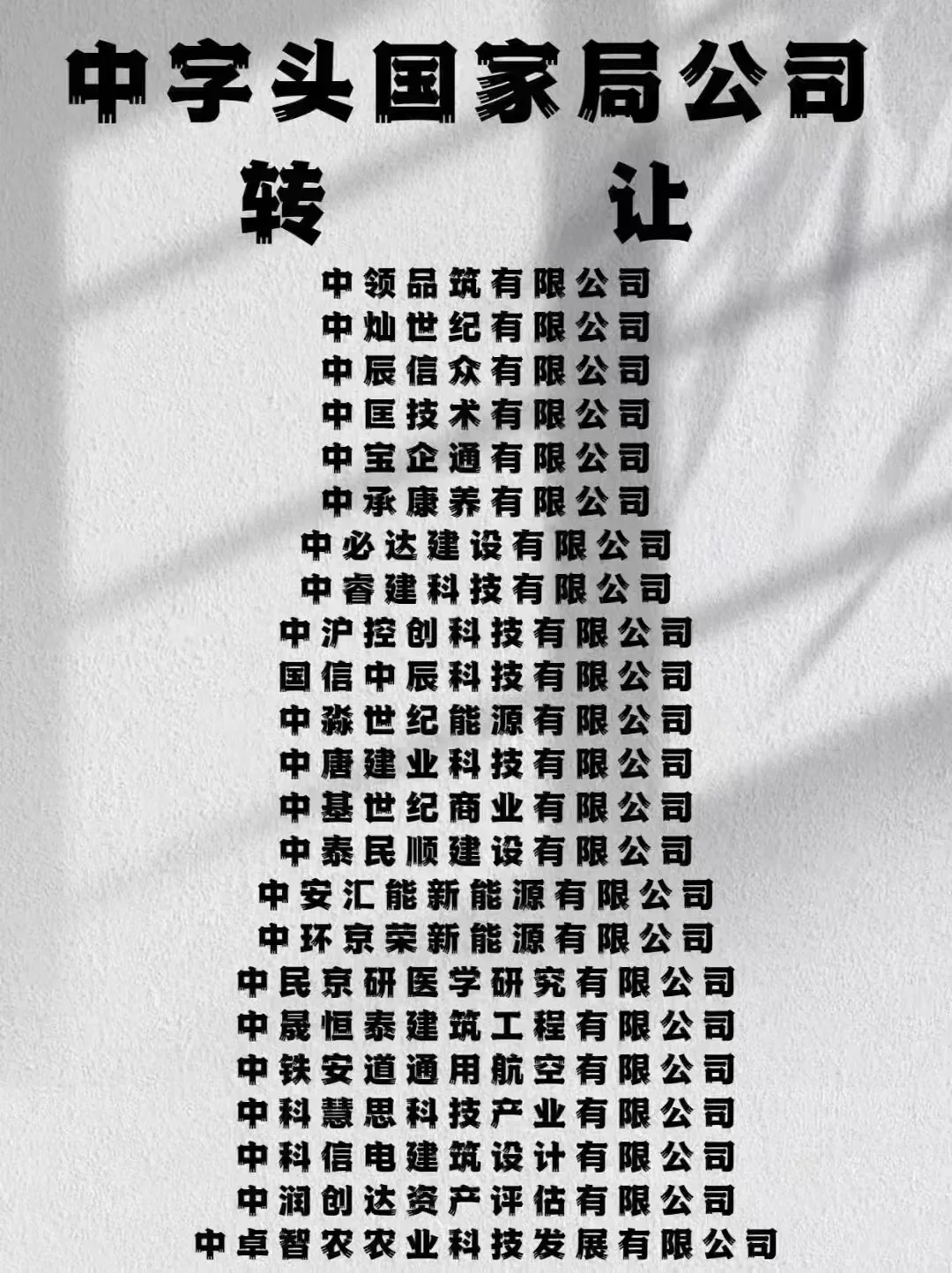 中字头国家局公司