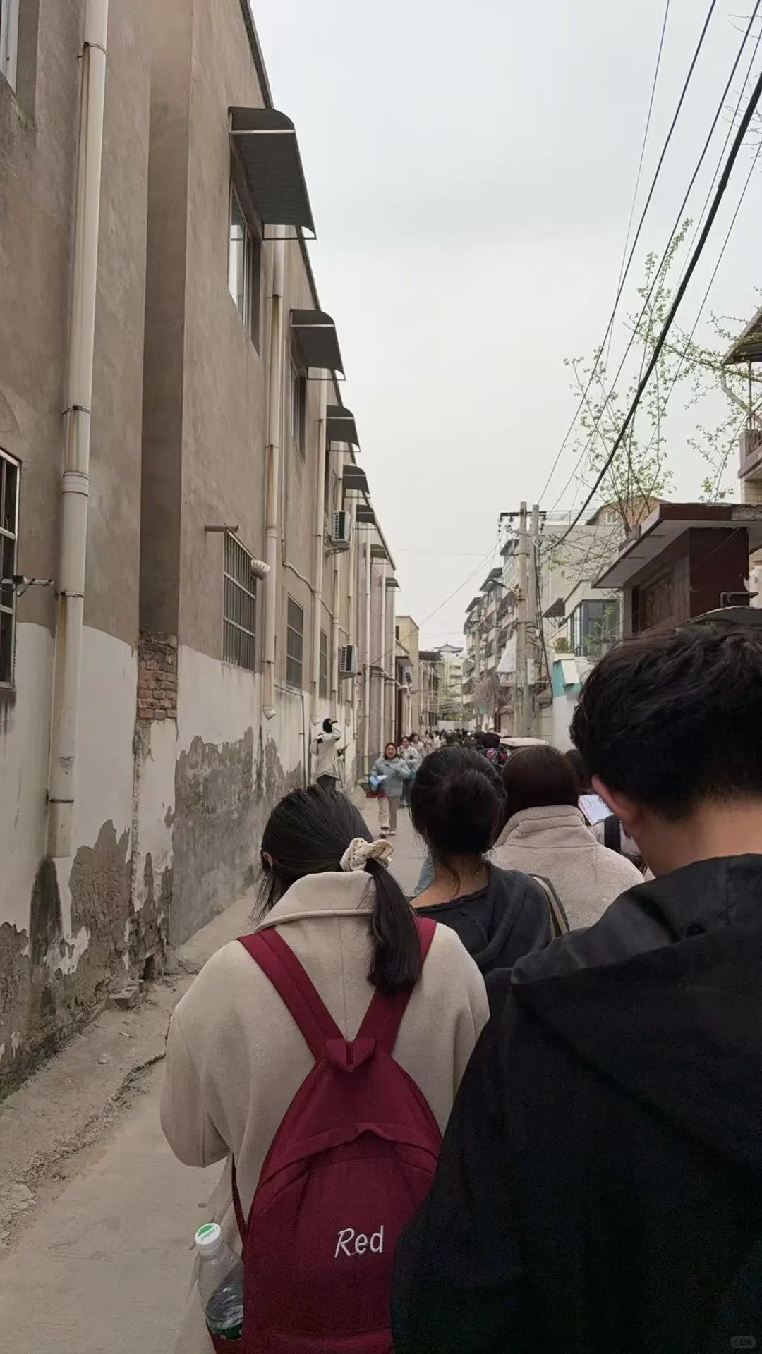 开封顺河区招教报名现场