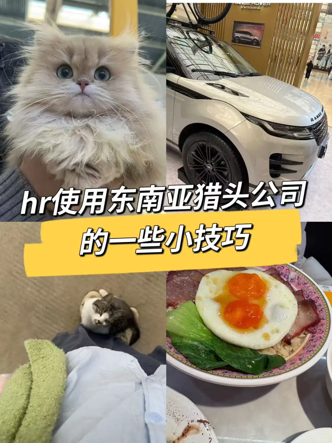 记录我的东南亚猎头公司使用体验