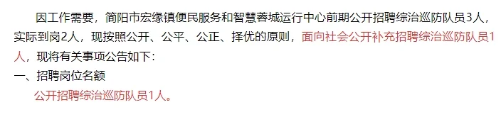 简阳市宏缘镇便民服务智慧蓉城运行中心招聘