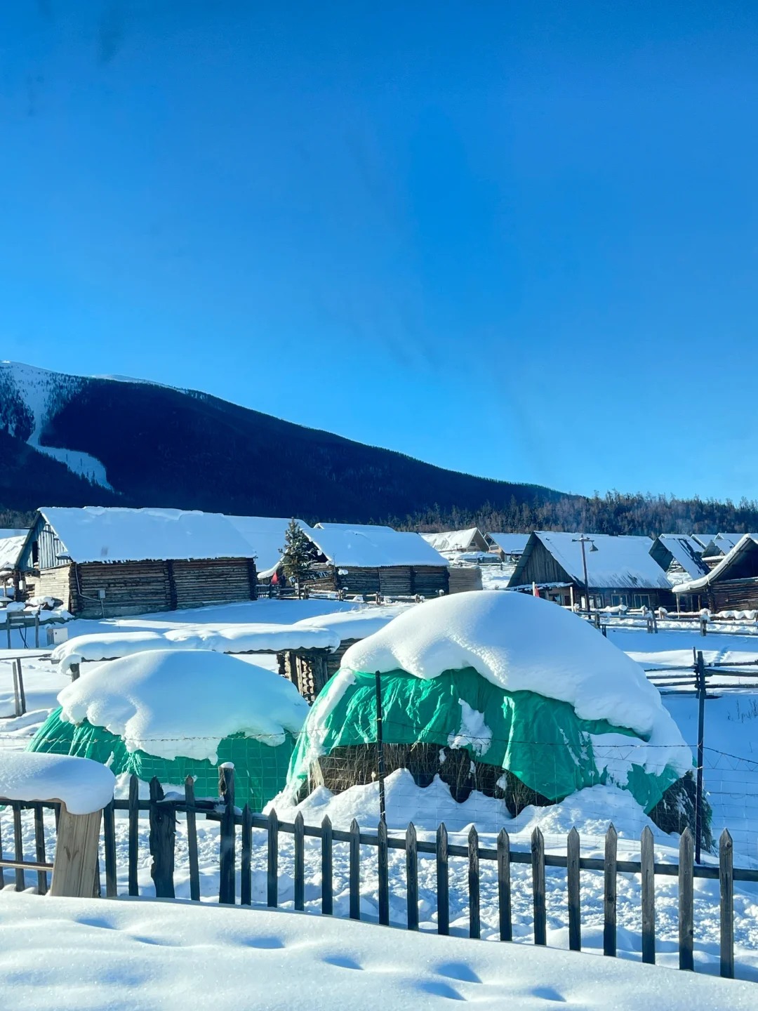 阿勒泰民宿管家招聘