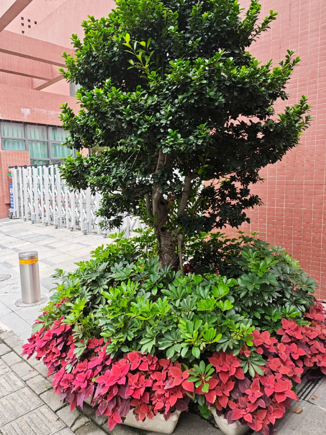 上岸干货｜教师招聘信息哪里找？