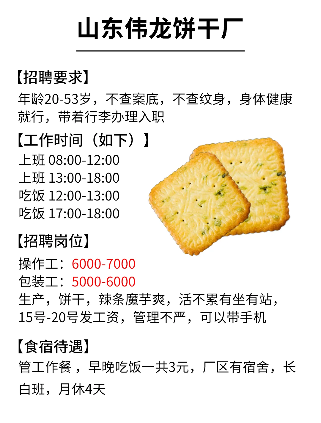 山东饼干厂招人啦！