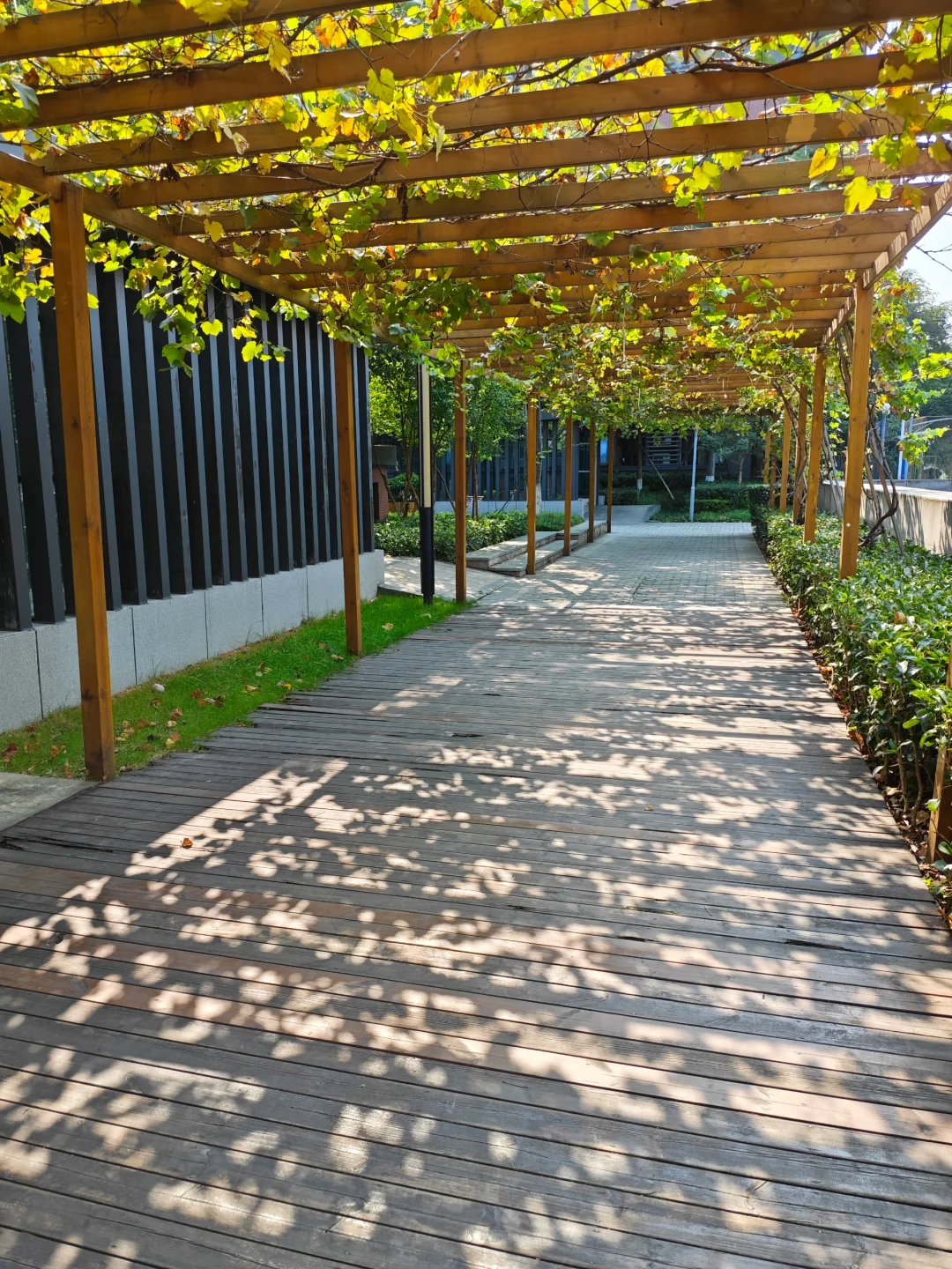 上岸干货｜教师招聘信息哪里找？