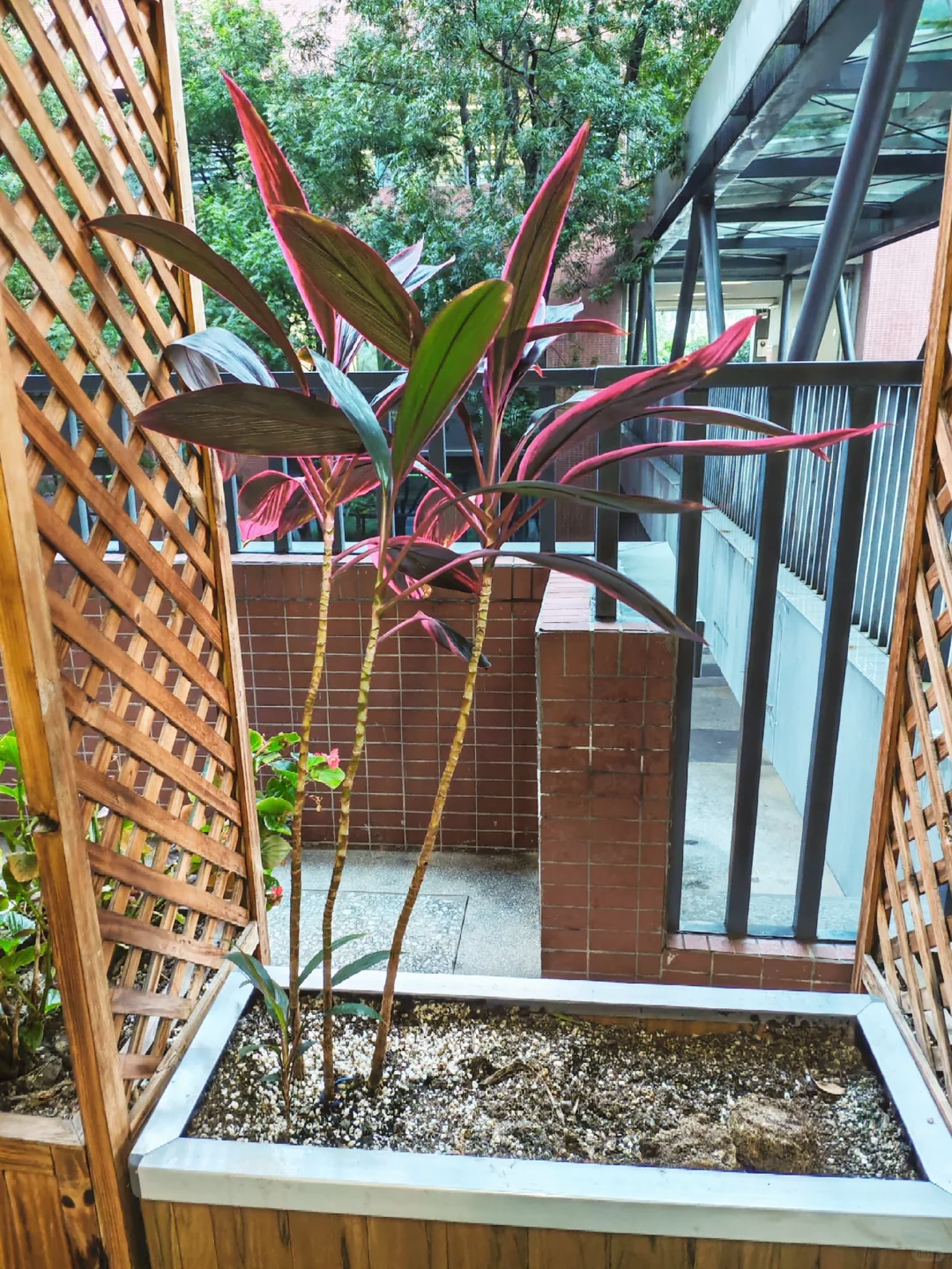 上岸干货｜教师招聘信息哪里找？