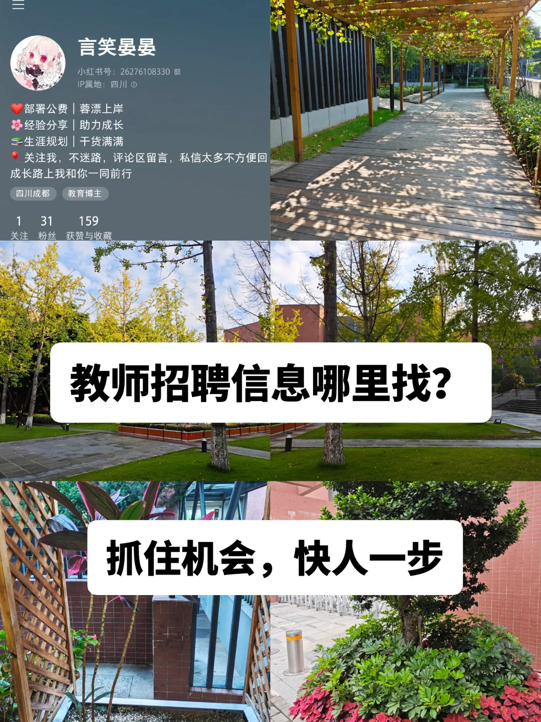 上岸干货｜教师招聘信息哪里找？