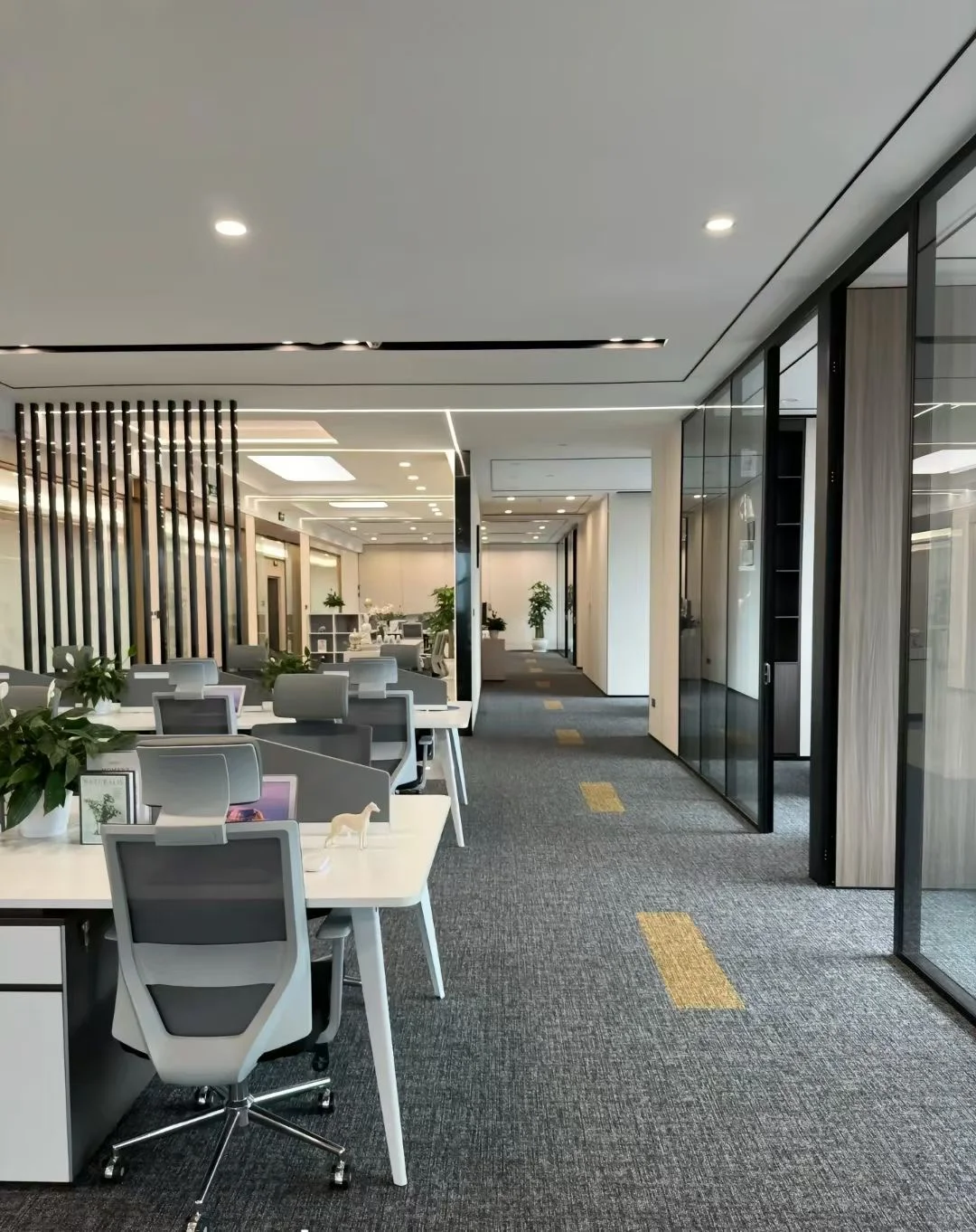 苏州万达初创公司招人！来了你就是二把手