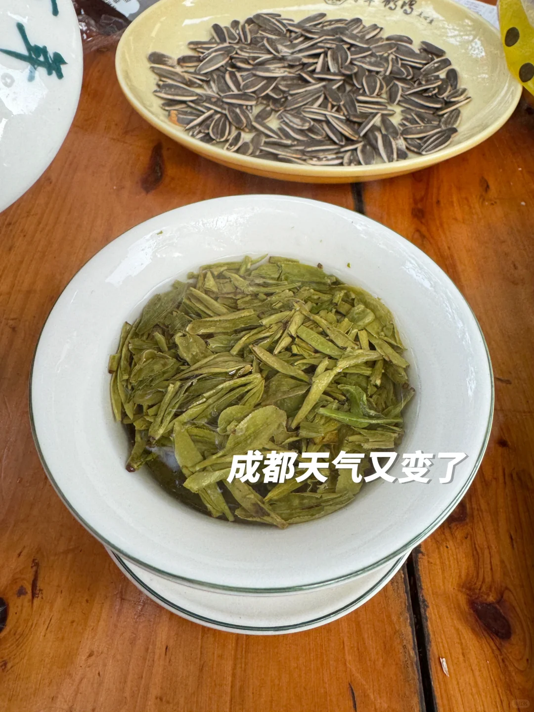 年后捞人力度大的：植物/花卉类外企