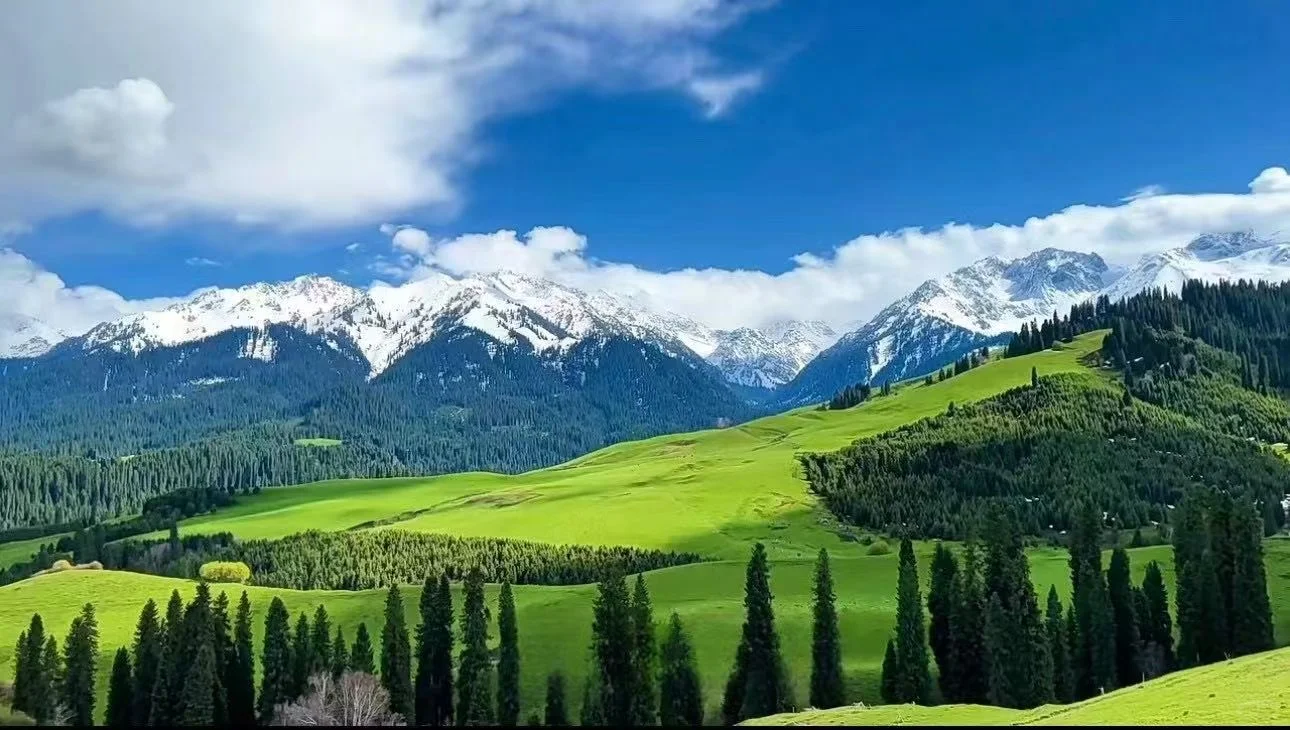 🌿 伊犁百里画廊民宿招聘 | 5-10月短期旅居