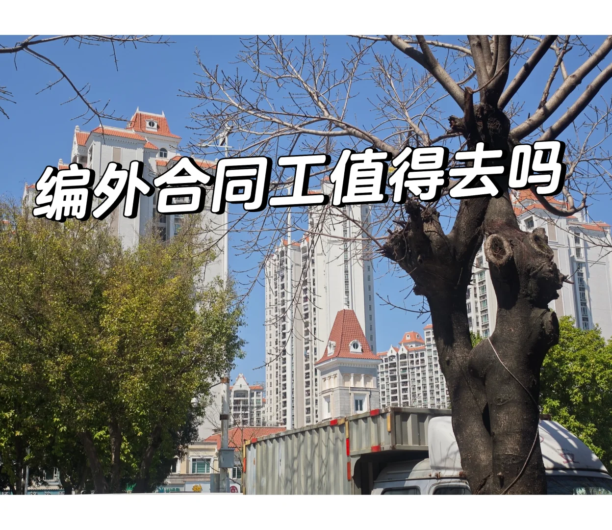 小县城政府编外值不值得去