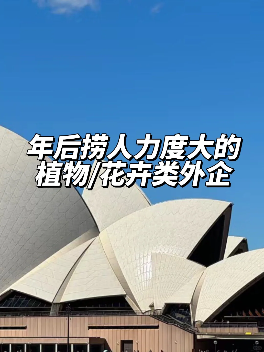 年后捞人力度大的：植物/花卉类外企