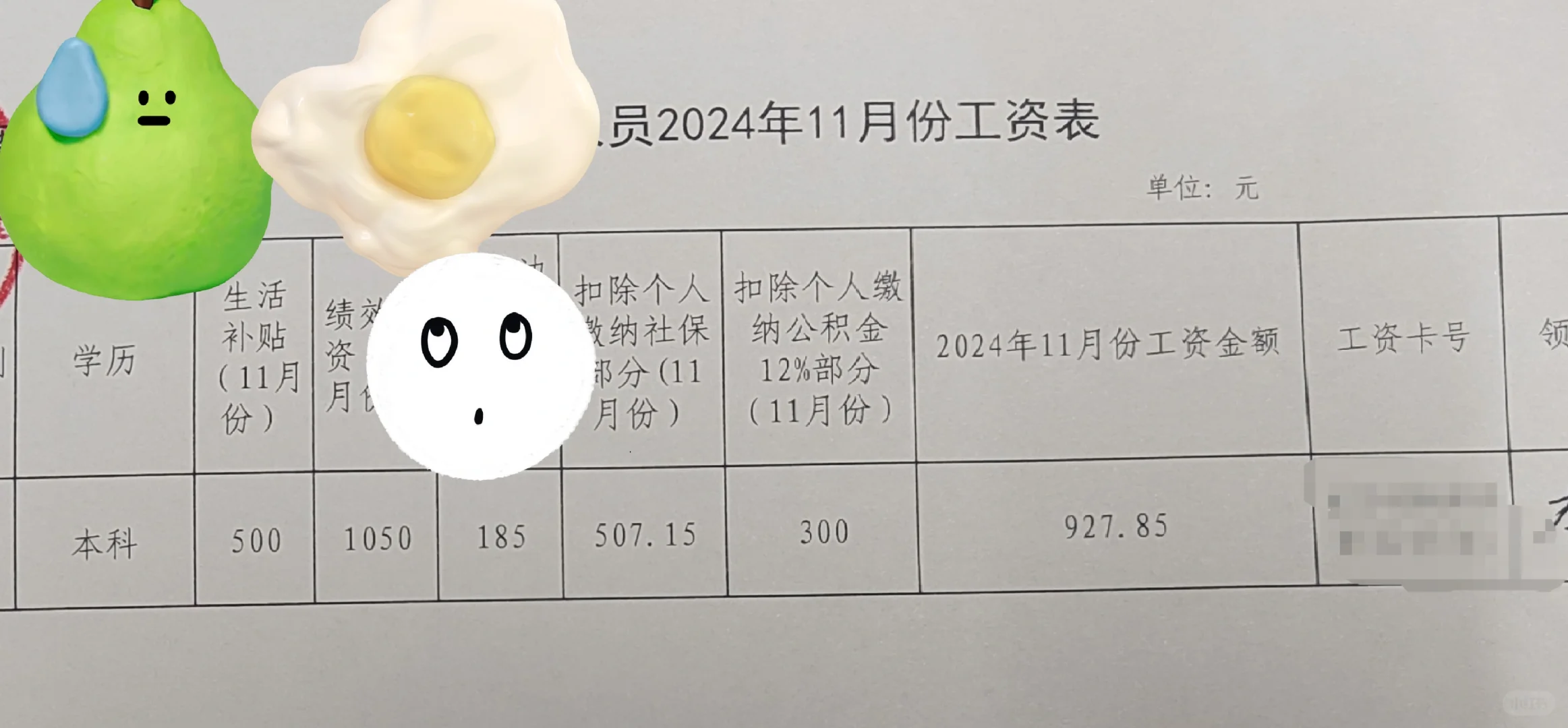 好小众的工资单…