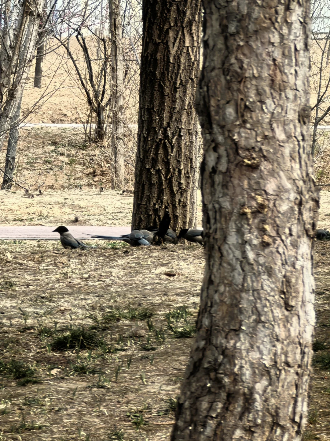 其实大厂是这样的