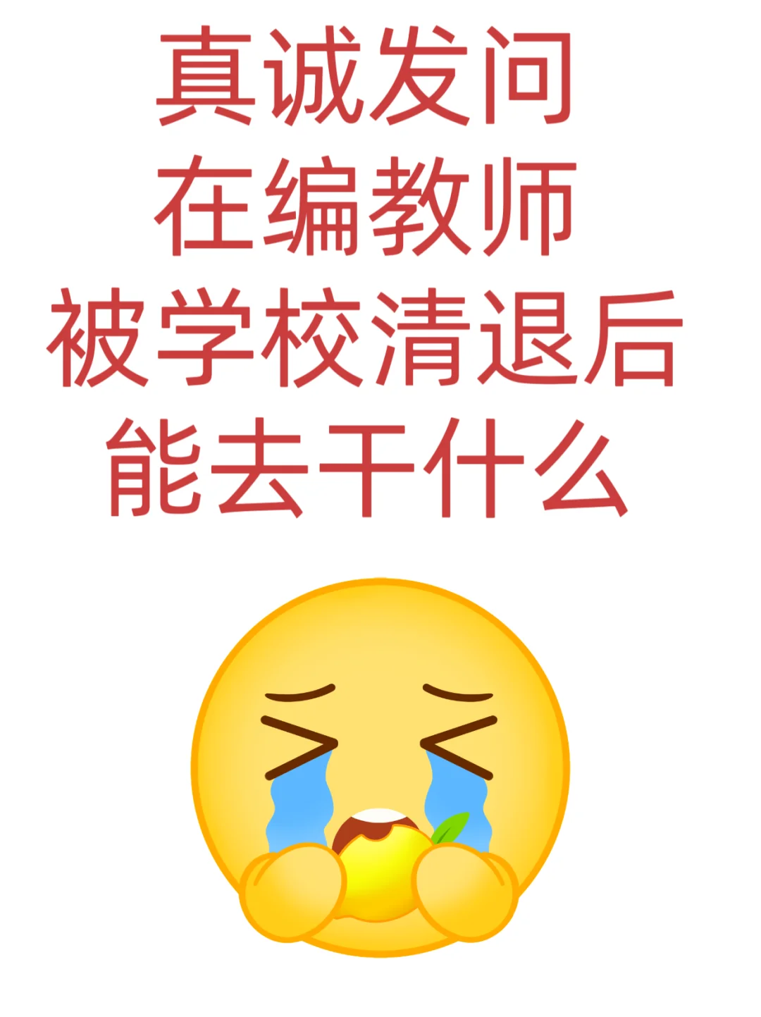 00后乡镇女教师害怕被清退的第365天