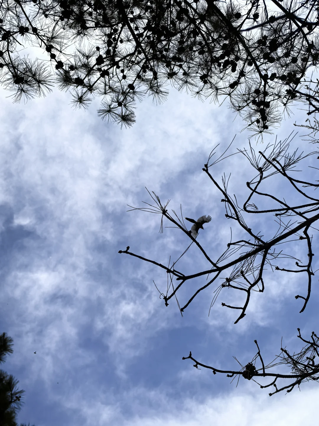 其实大厂是这样的