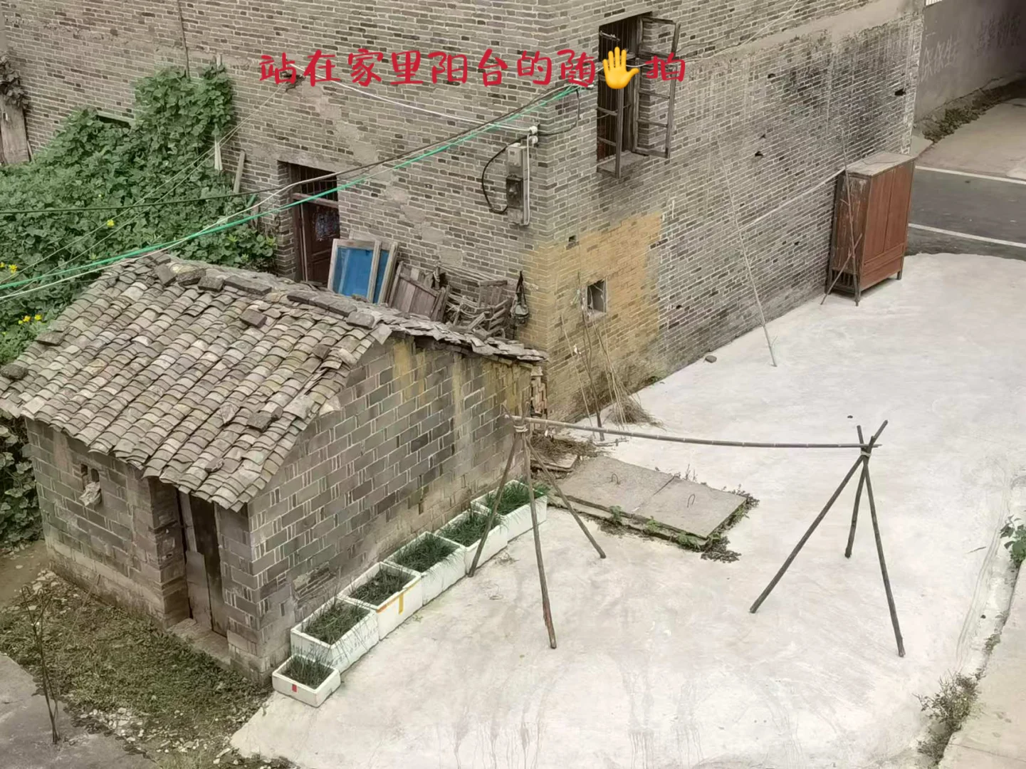 00后乡镇女教师害怕被清退的第365天