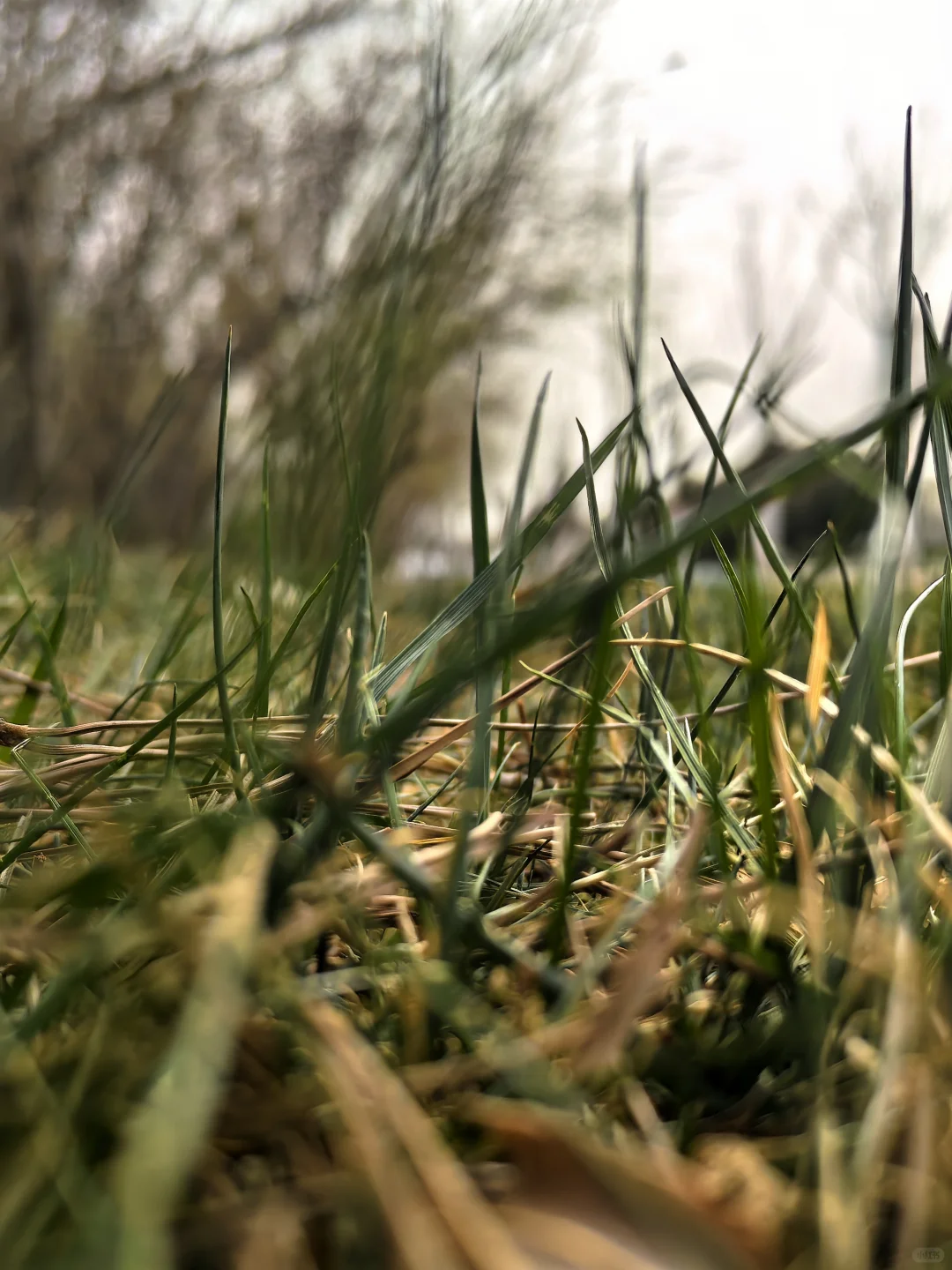 其实大厂是这样的