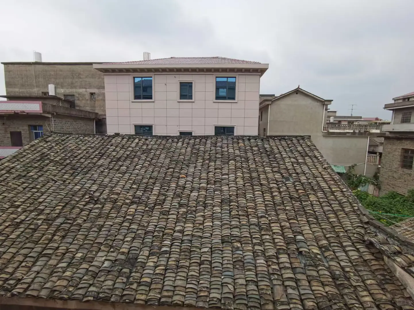 00后乡镇女教师害怕被清退的第365天