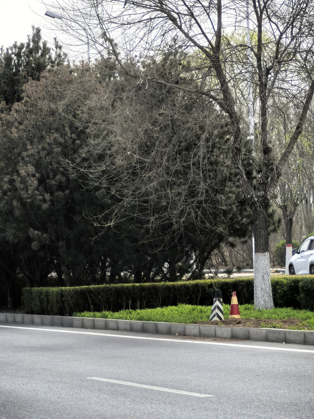 其实大厂是这样的