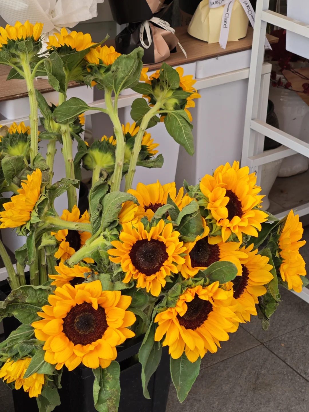 金牛区双休早十晚六人事岗