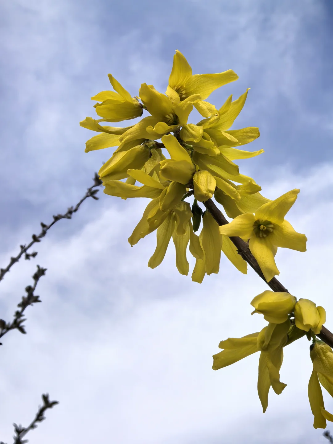 其实大厂是这样的