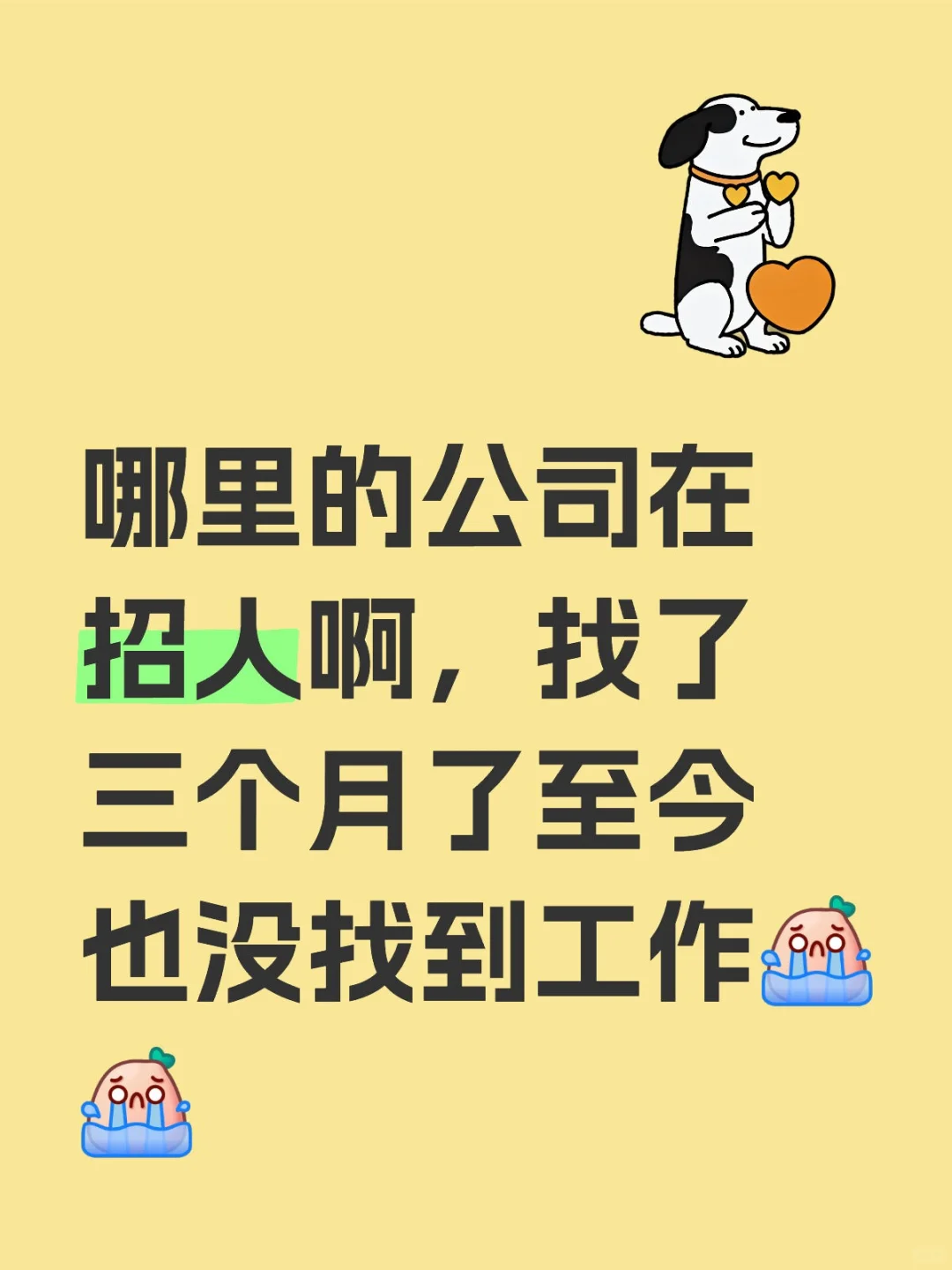 哪个公司招人