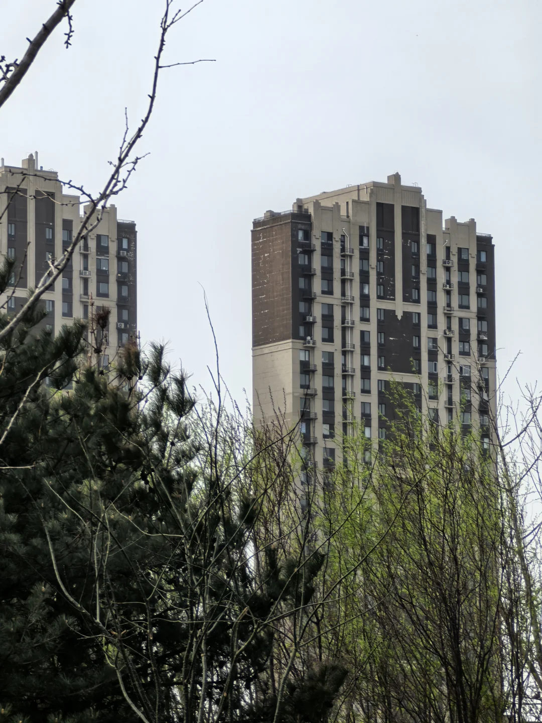 其实大厂是这样的