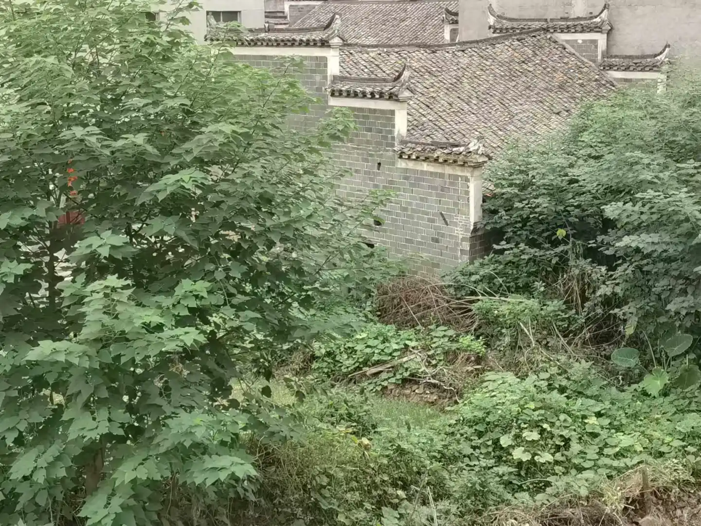 00后乡镇女教师害怕被清退的第365天