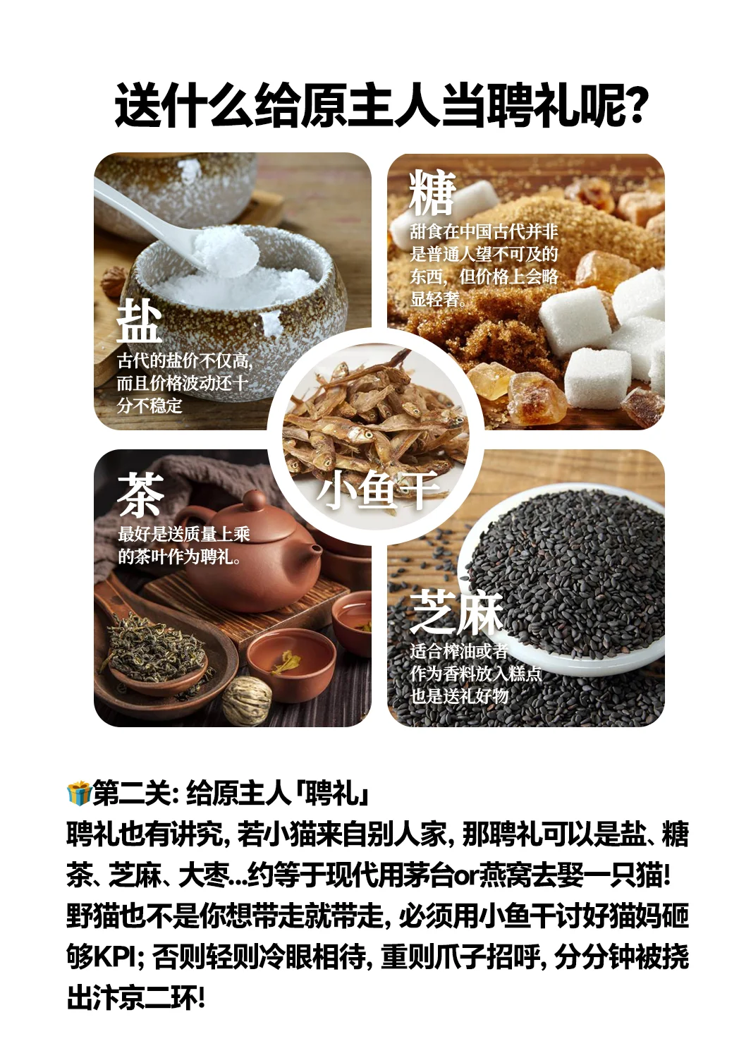 想当大宋铲屎官？先过猫妈彩礼关！