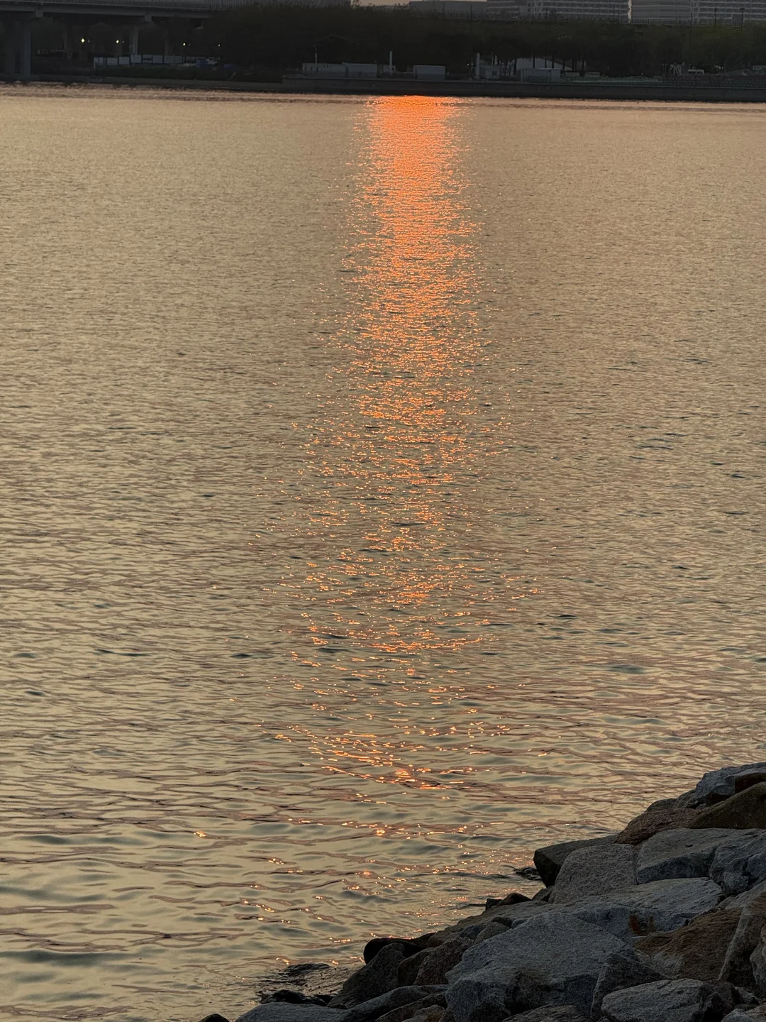 🇻🇳平阳省招文员