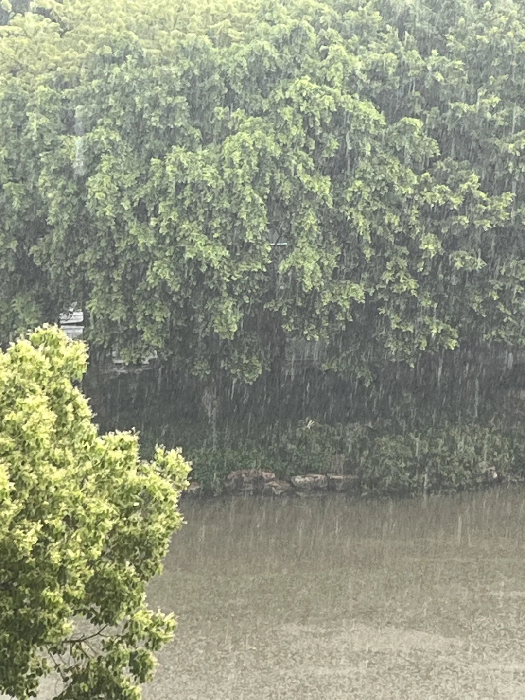 江西人勇闯福建教招有感