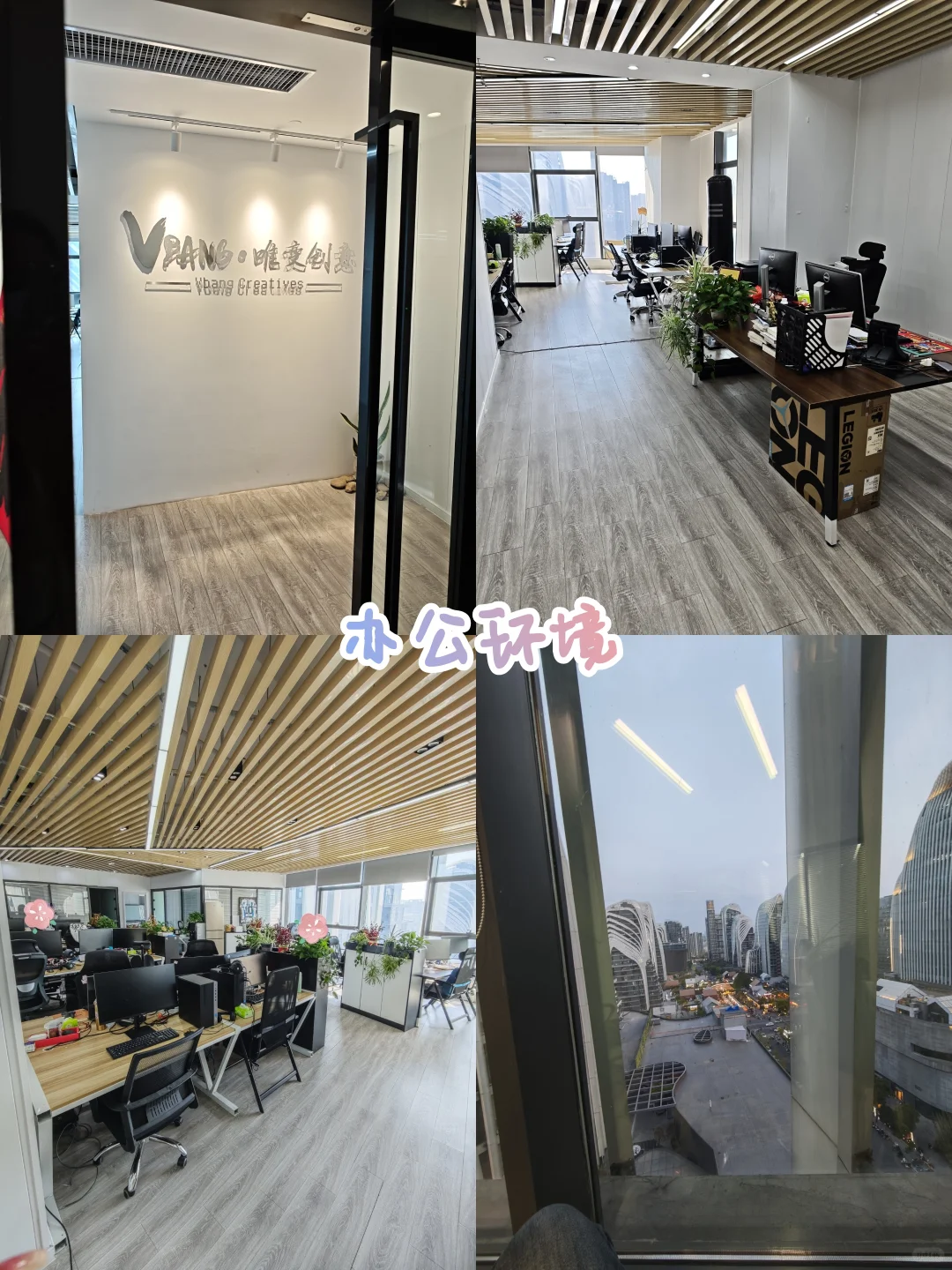 藏在南京南的宝藏双休公司被我找到啦！！