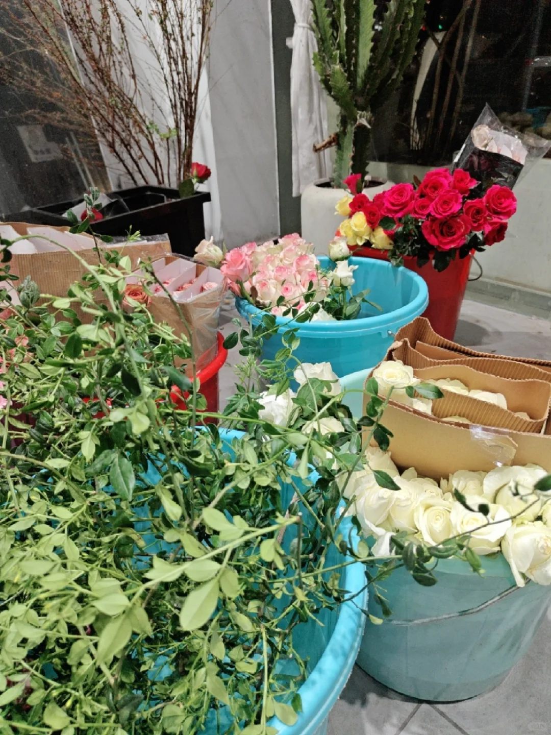 有没有喜欢花的小伙伴啊