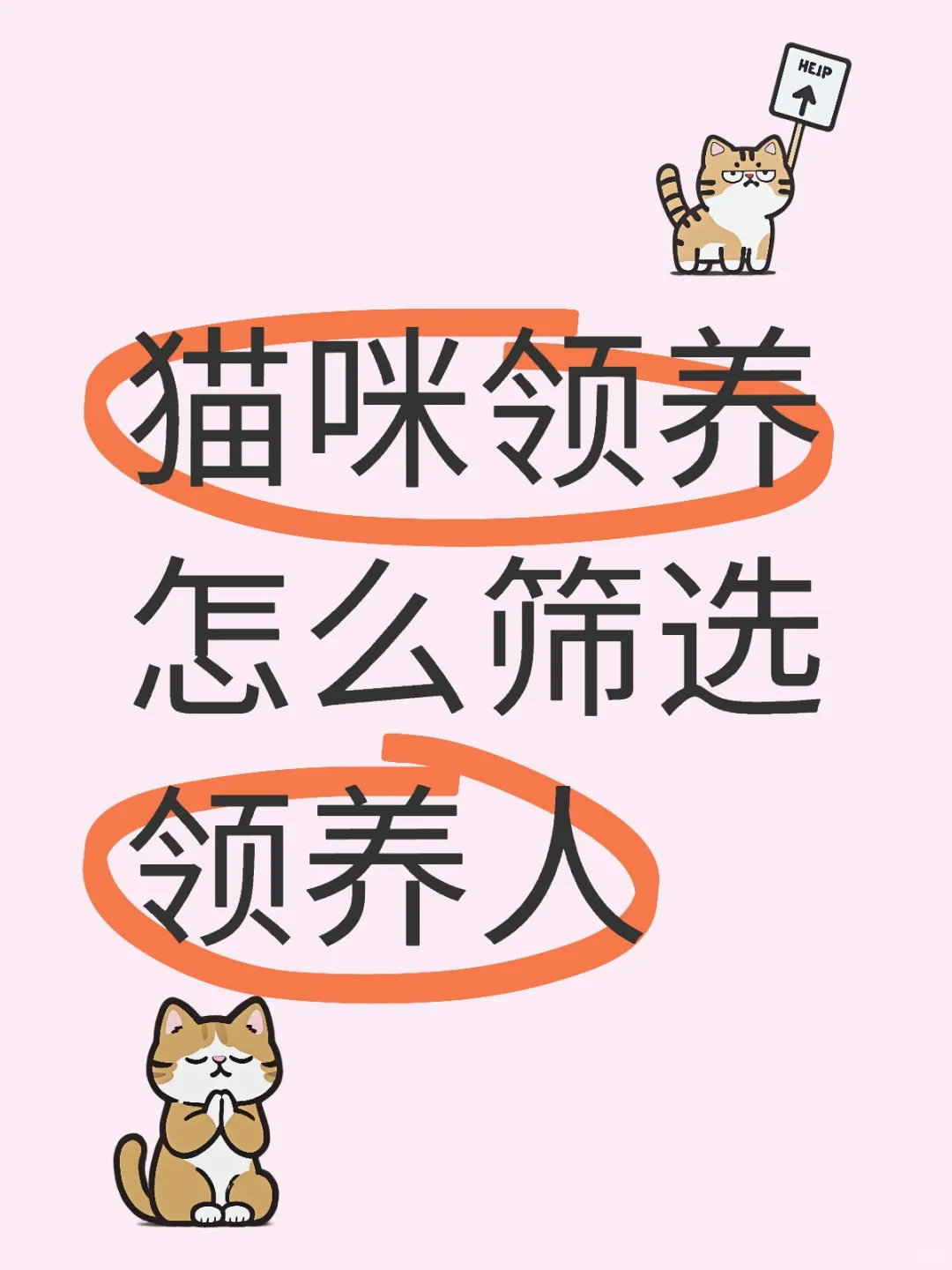 猫咪领养怎么筛选领养人