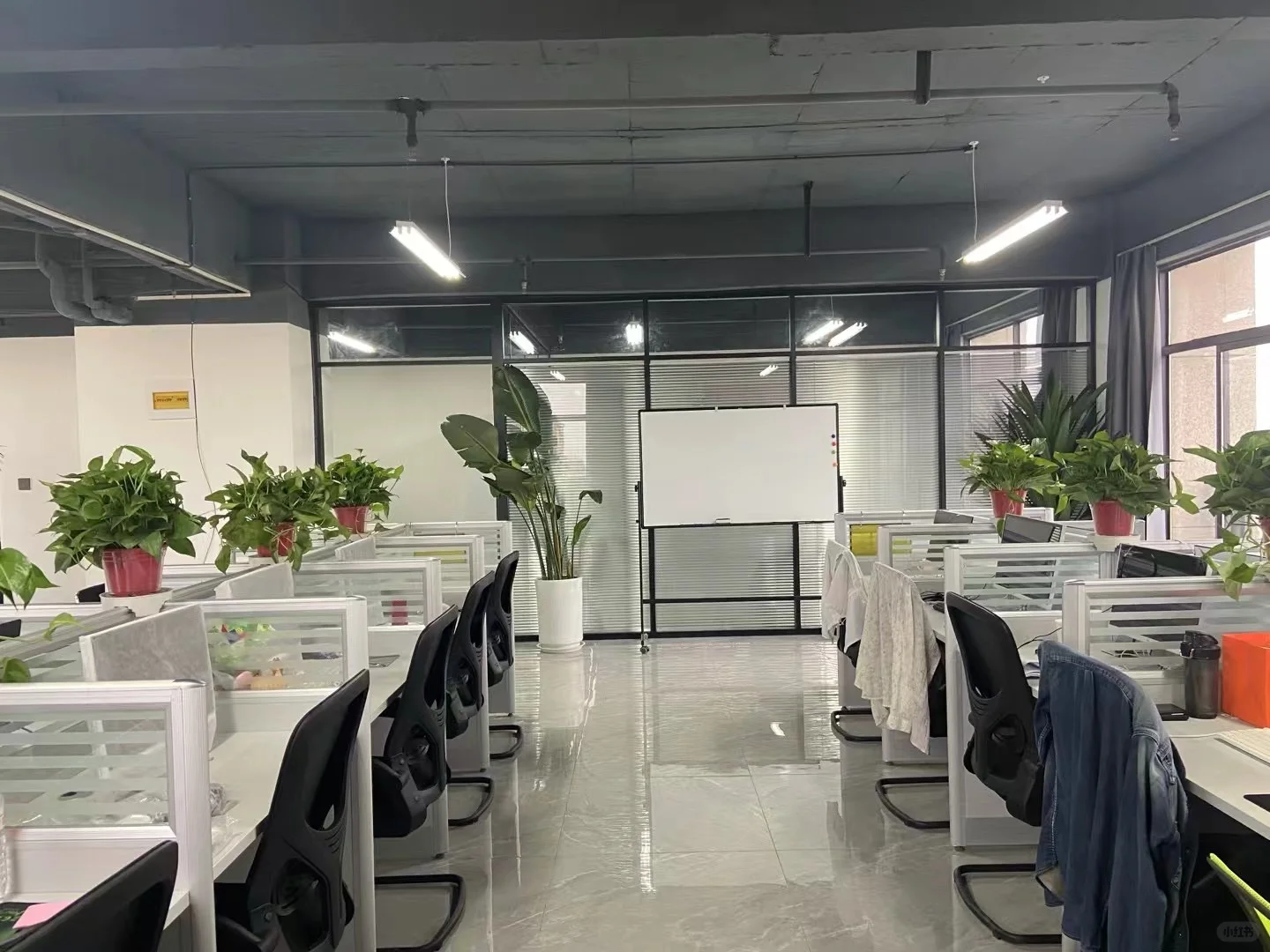 在三门峡的神仙公司～🤔️不是中介不是中介