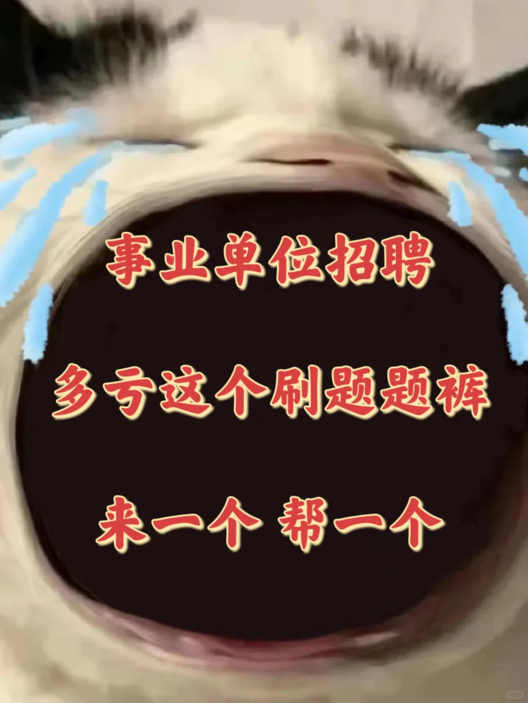 事业单位招聘，认准这个宝藏app