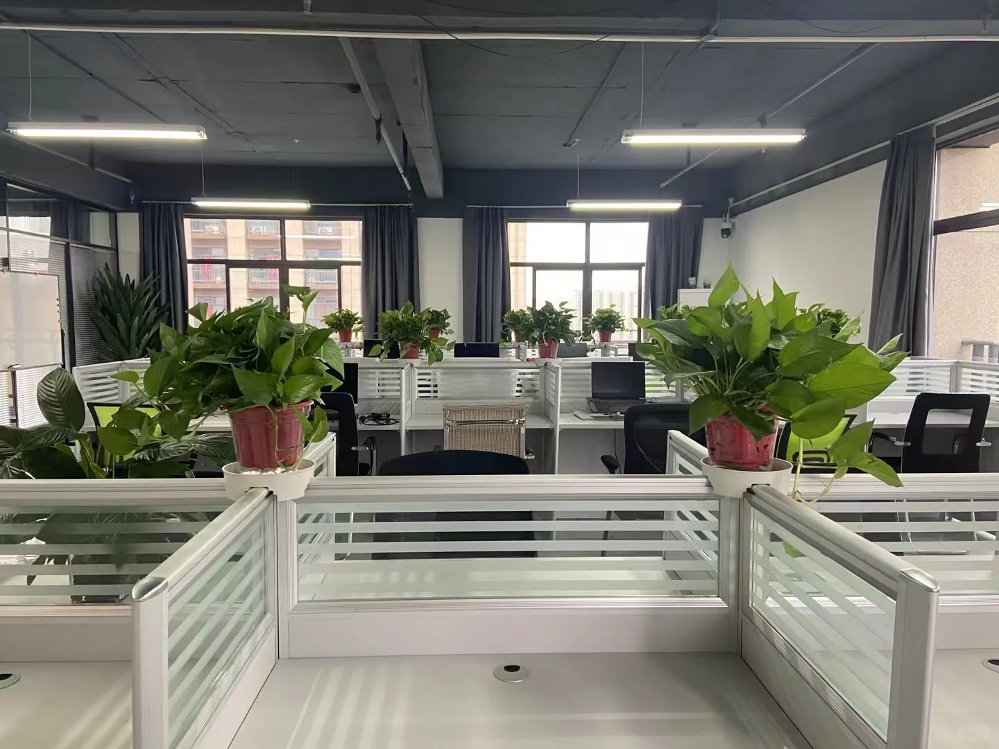 在三门峡的神仙公司～🤔️不是中介不是中介