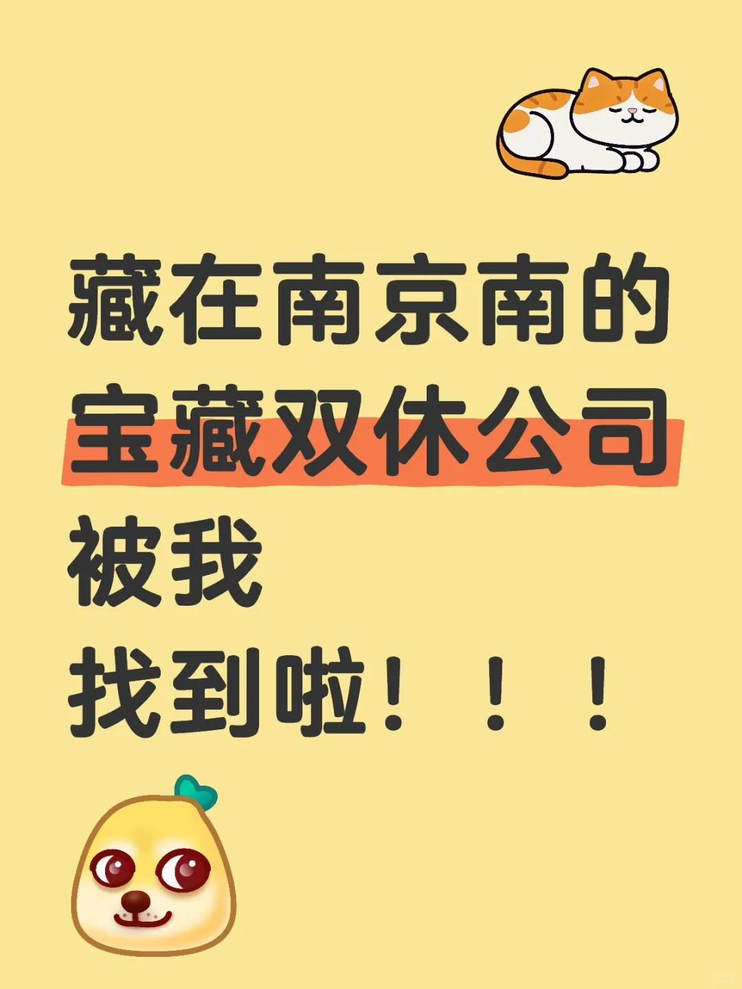 藏在南京南的宝藏双休公司被我找到啦！！
