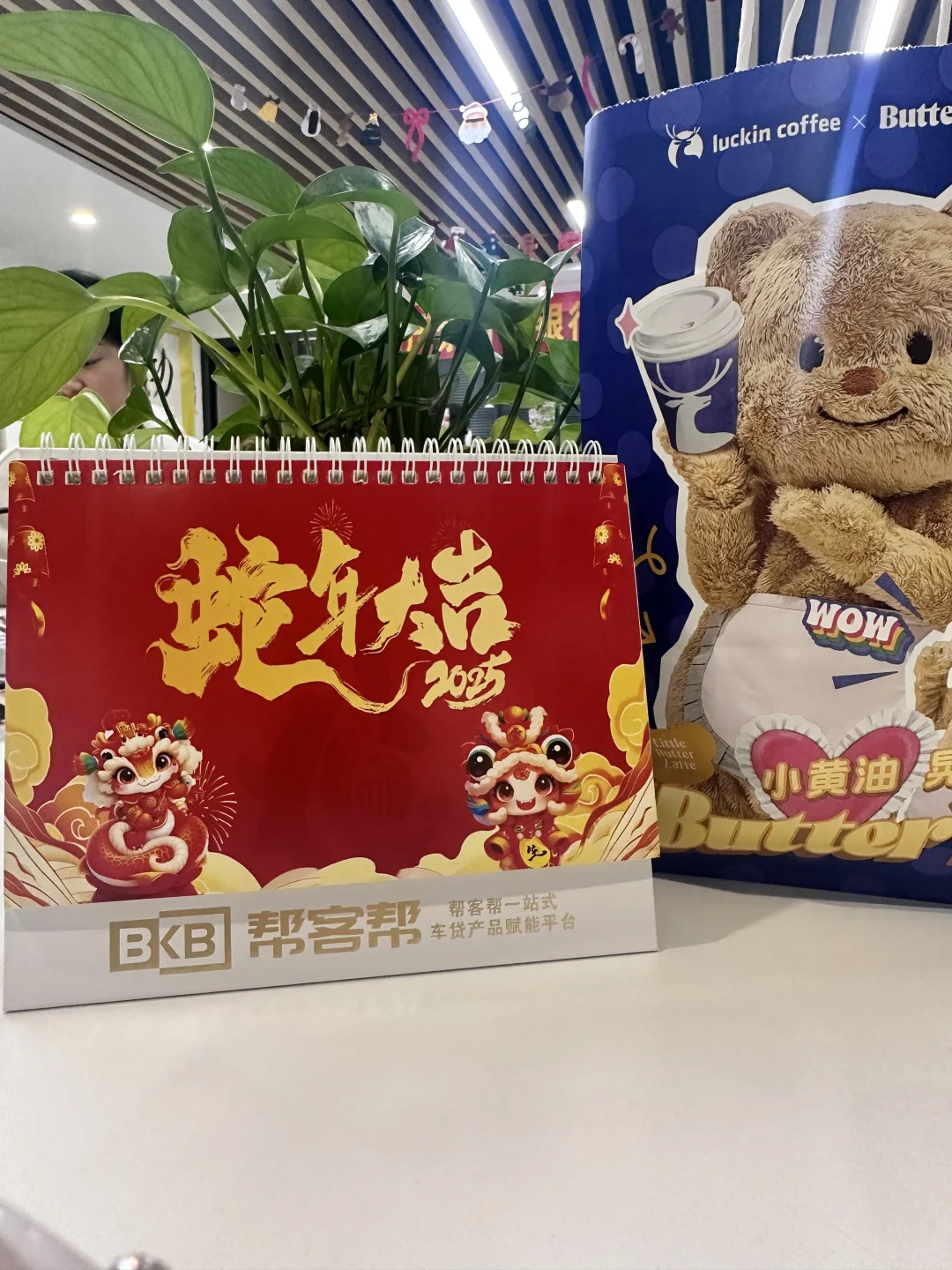 急聘急聘！金水区